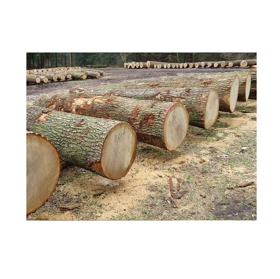 Bulk Price Pine Wood Logs For Sale At Low Price