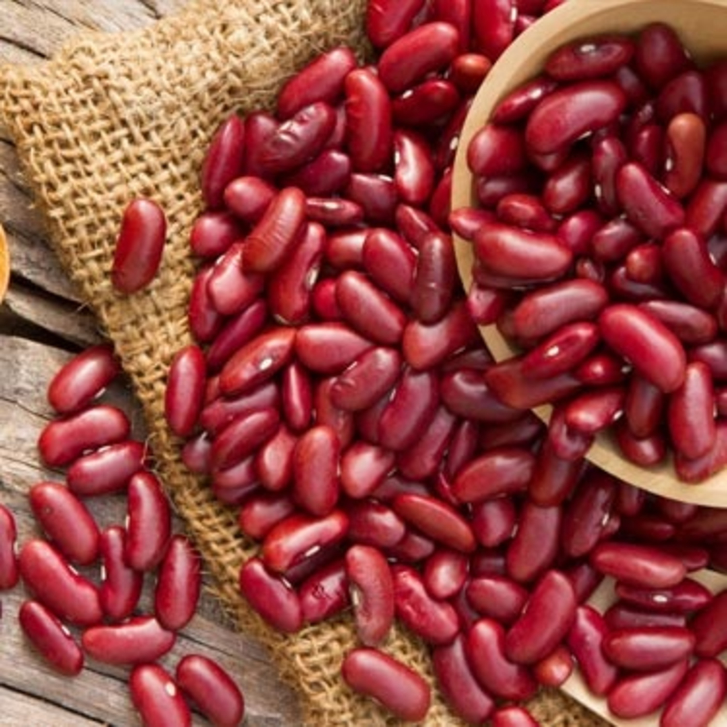 Low Price Premium Quality Dark Red Kidney Beans Long Shape Kidney Beans Available For Sale In Bulk