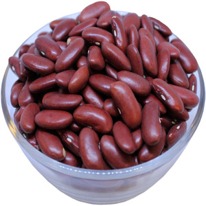 Low Price Premium Quality Dark Red Kidney Beans Long Shape Kidney Beans Available For Sale In Bulk