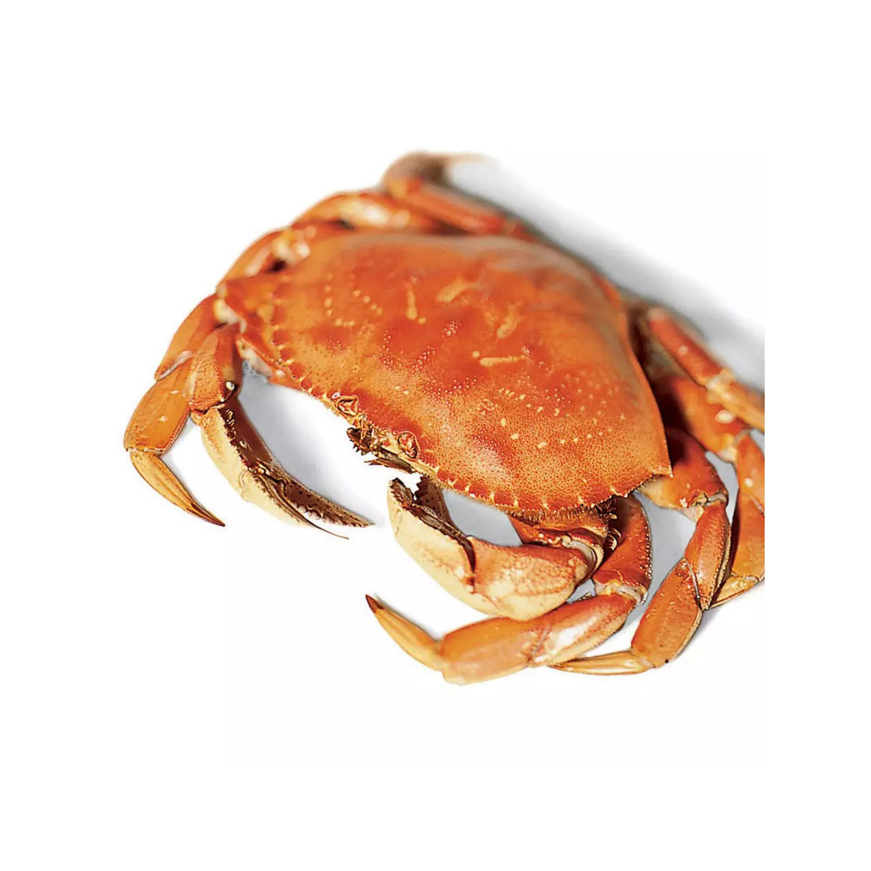 Fresh Red King Crab Fresh/Live Red King Crabs/Soft Shell Crabs Blue Swimming Crabs export price