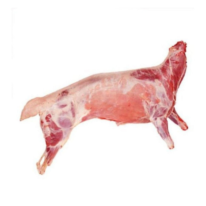 FRESH FROZEN GOAT MEAT / MUTTON MEAT / LAMB MEAT CARCASS FOR SALE