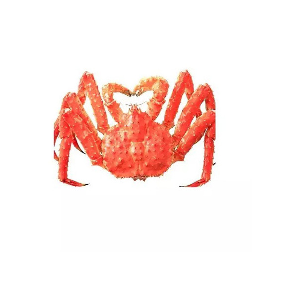 Fresh Red King Crab Fresh/Live Red King Crabs/Soft Shell Crabs Blue Swimming Crabs export price