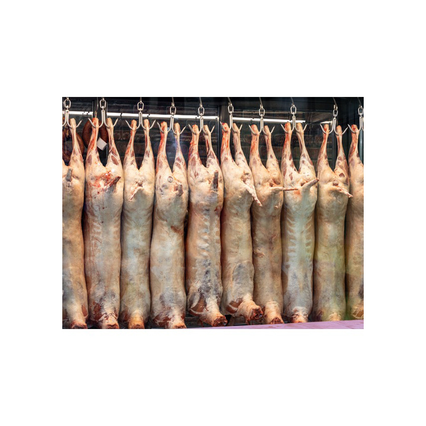 Halal Frozen Lamb/ Sheep/ Mutton Meat For Sale