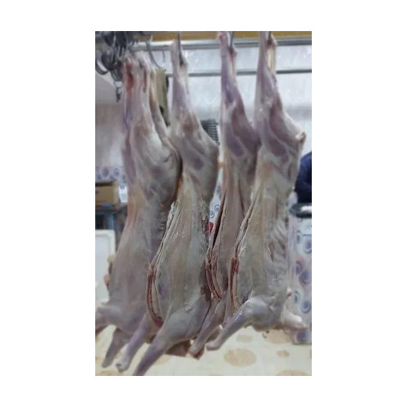 Halal Frozen Lamb/ Sheep/ Mutton Meat For Sale