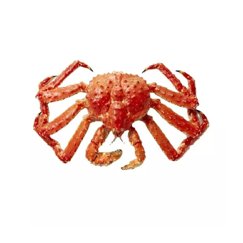 Fresh Red King Crab Fresh/Live Red King Crabs/Soft Shell Crabs Blue Swimming Crabs export price