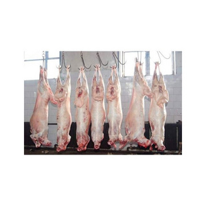 FRESH FROZEN GOAT MEAT / MUTTON MEAT / LAMB MEAT CARCASS FOR SALE