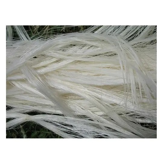 AFFORDABLE LOW PRICE Top Quality Sisal Fibre for sale hot discount