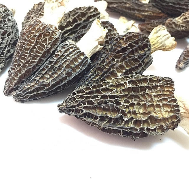 Bulk Organic Dried Morel Mushrooms