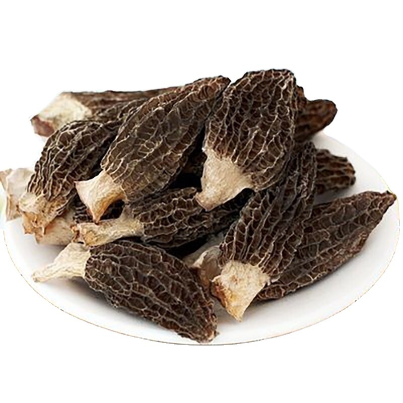 Bulk Organic Dried Morel Mushrooms