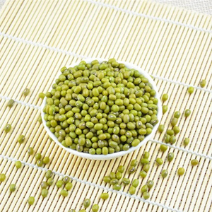 Newly Harvested Green mung bean Moong dal sprout mung beans use for sale