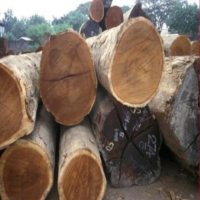 Hot Sale pine wood logs