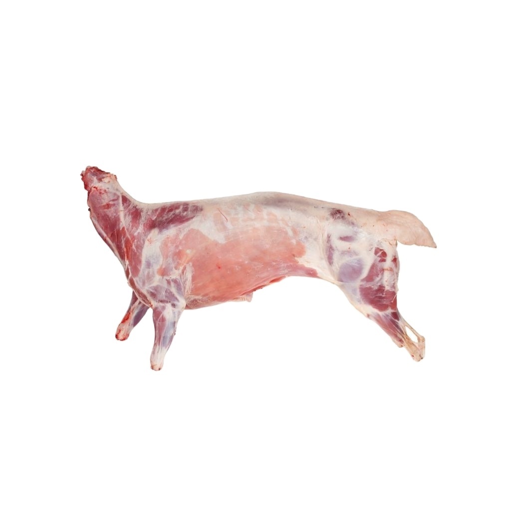 WHOLE BODY HALAL FRESH / FROZEN GOAT / LAMB / SHEEP MEAT / CARCASS OR SALE