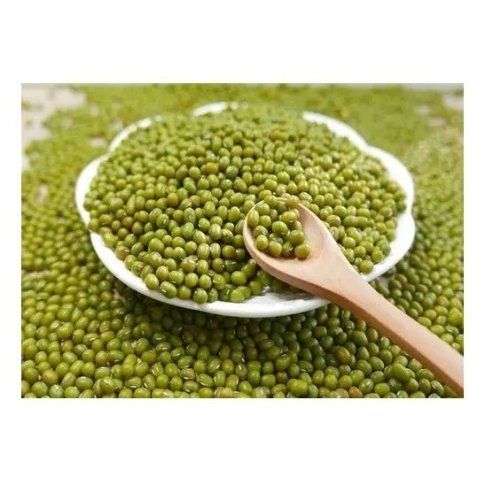 Newly Harvested Green mung bean Moong dal sprout mung beans use for sale