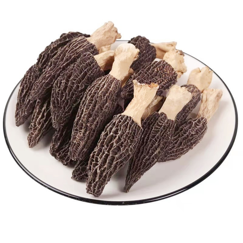 Bulk Organic Dried Morel Mushrooms