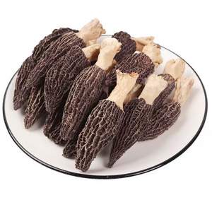 Bulk Organic Dried Morel Mushrooms