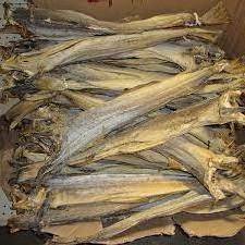 Dry Stock Fish From Norway / Dry Stock Fish Head / Dried Salted Cod