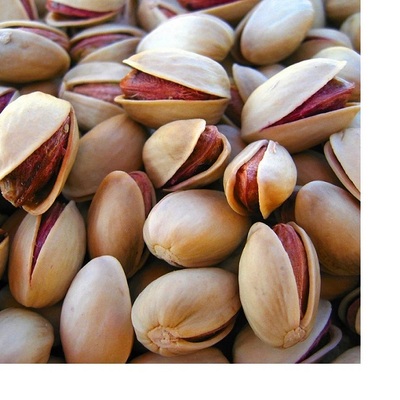 Factory price Best Delicious pistachios Nuts salted/unsalted nuts in Bulk