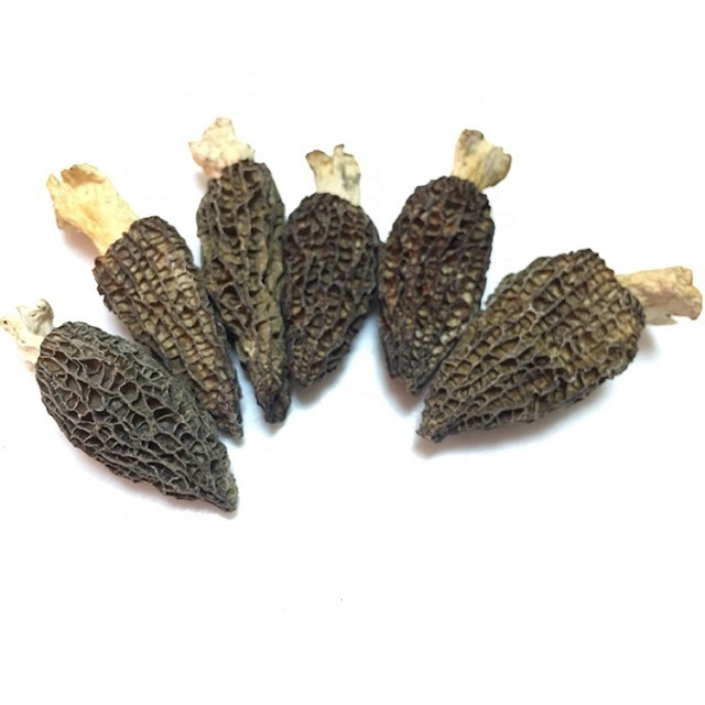 Bulk Organic Dried Morel Mushrooms