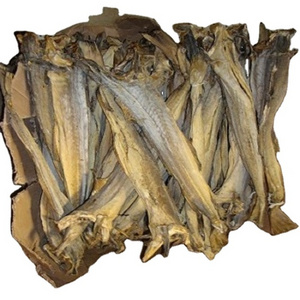 Norwegian Stockfish 60/80cm Dried Cod Full Bale for Immediate Supply Haithe, Haddock.