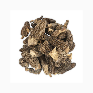 Factory Direct Sale Healthy Fresh Dried Oyster Mushroom Native Product Nutrition Oyster Mushroom