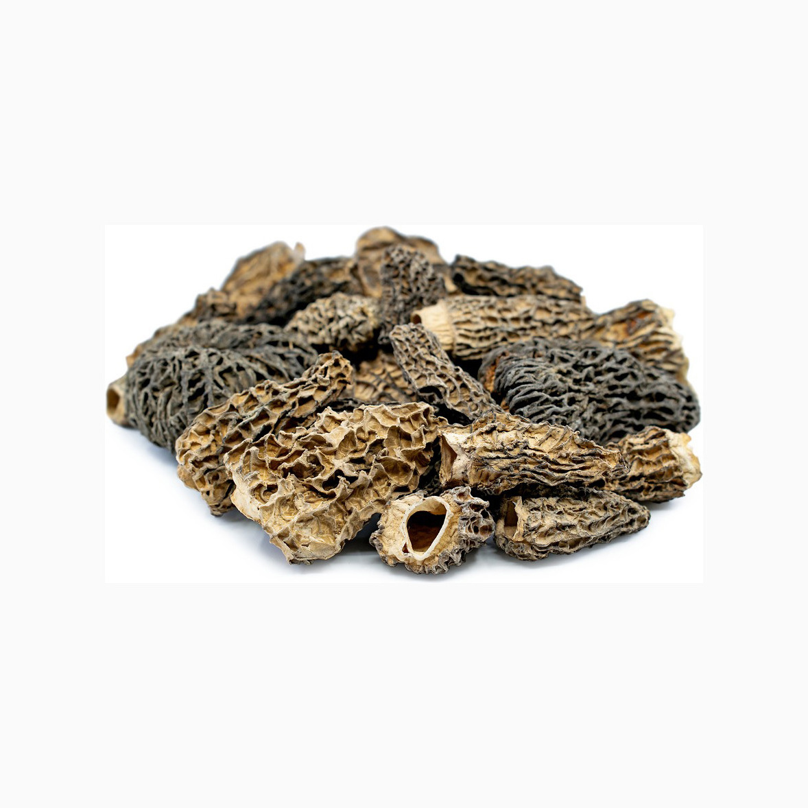 Factory Direct Sale Healthy Fresh Dried Oyster Mushroom Native Product Nutrition Oyster Mushroom