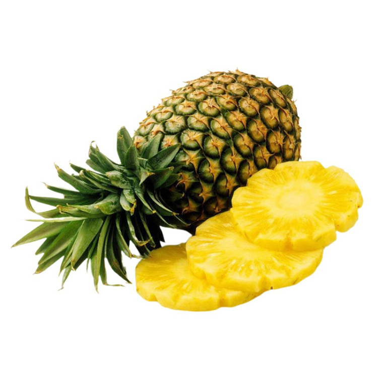 Fresh Pineapple So Delicious From Vietnam,Fresh Pineapple With Good Price