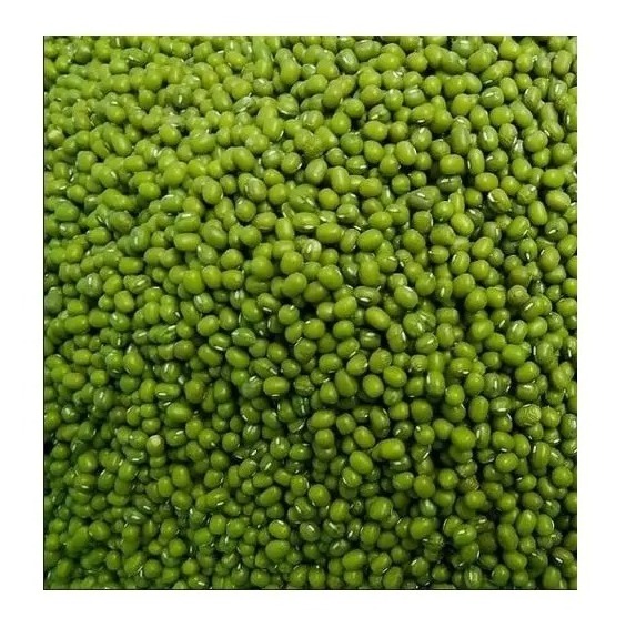 Newly Harvested Green mung bean Moong dal sprout mung beans use for sale