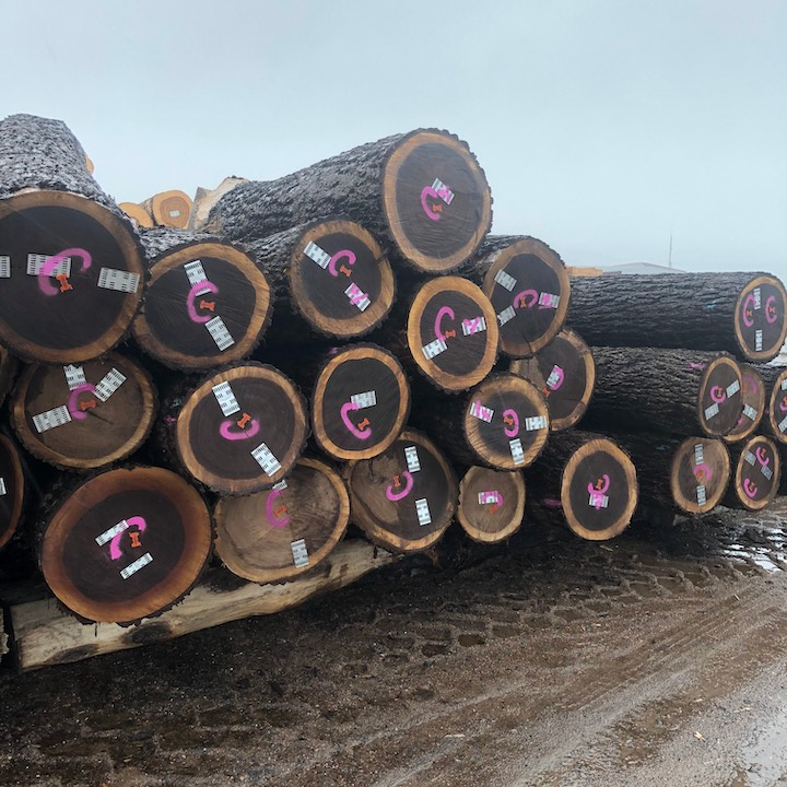 Walnut/ Cherry/ Ash Saw Logs, 30+ cm