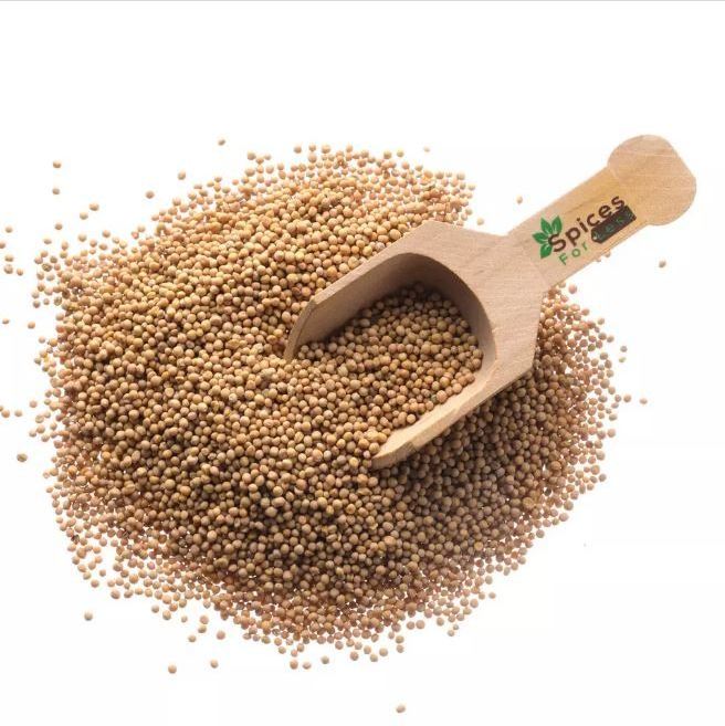 100% Natural Grain South Indian Food Made Mustard Seeds Quality Assured Mustard Seeds Supplier  from Asia and Europe