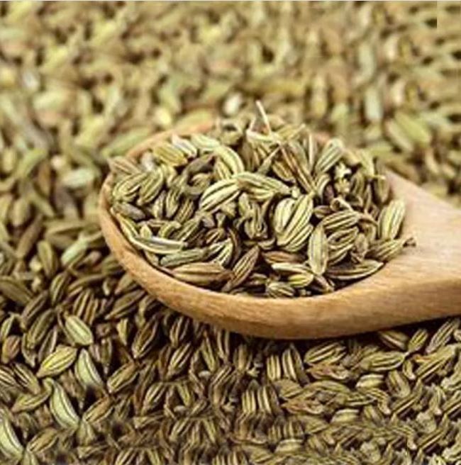 10kg wholesales Premium Natural High Quality Fennel Seeds Wholesale  ready for export to Europe and Asia