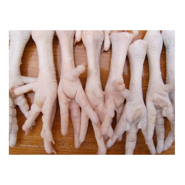 Wholesale Dealer Supplier Of Europe Grade Brazil frozen chicken feet USA frozen chicken feet suppliers buy frozen chicken feet