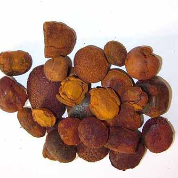 Hot sales price Gallstones Cattle Gallstones /Good quality cow gallstone ready for supply