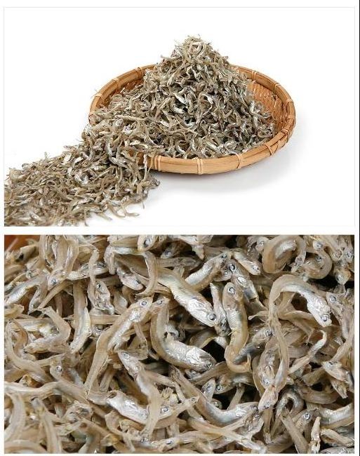 DRIED ANCHOVY FISH FROM GERMANY/ HIGH QUALITY SPRATS/ BEST PRICE ANCHOVY READY FOR EXPORT