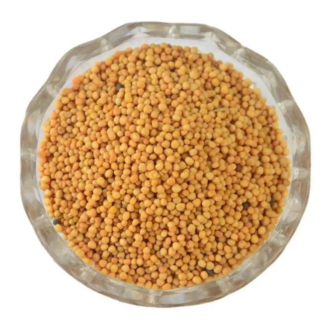 AFNA yell black yellow white mustard seeds packing in bags for sale mustard seed oil indian mustard seeds yellow