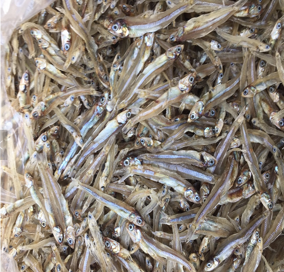 DRIED ANCHOVY FISH FROM GERMANY/ HIGH QUALITY SPRATS/ BEST PRICE ANCHOVY READY FOR EXPORT