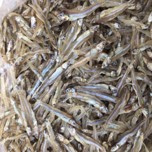 DRIED ANCHOVY FISH FROM GERMANY/ HIGH QUALITY SPRATS/ BEST PRICE ANCHOVY READY FOR EXPORT