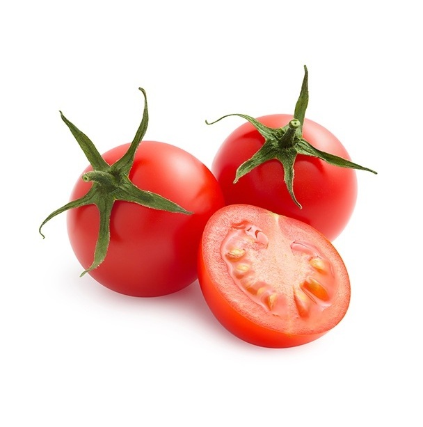 Highest Quality Best Price Direct Supply Fresh Tomatoes All Type Fresh Tomatoes Bulk Fresh Stock Available For Exports