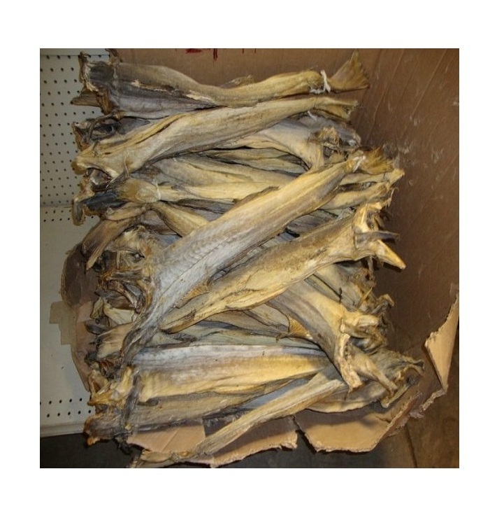 High Quality dried salted atlantic pacific cod fish fillet At Cheap Price Manufacturer From Germany worldwide Exports