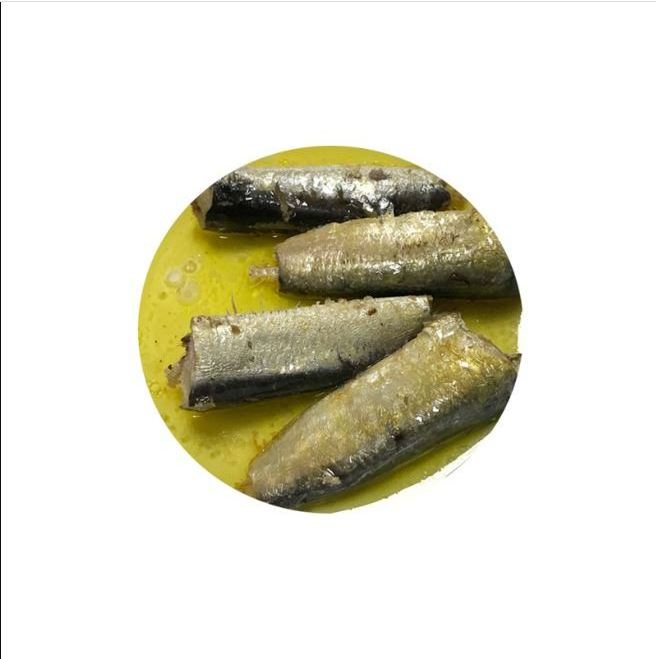 Whole round import export frozen fresh sardine fish/Fresh Frozen Red Tilapia Fish/FROZEN ROHU FISH AND SEA BASS FOR SELL