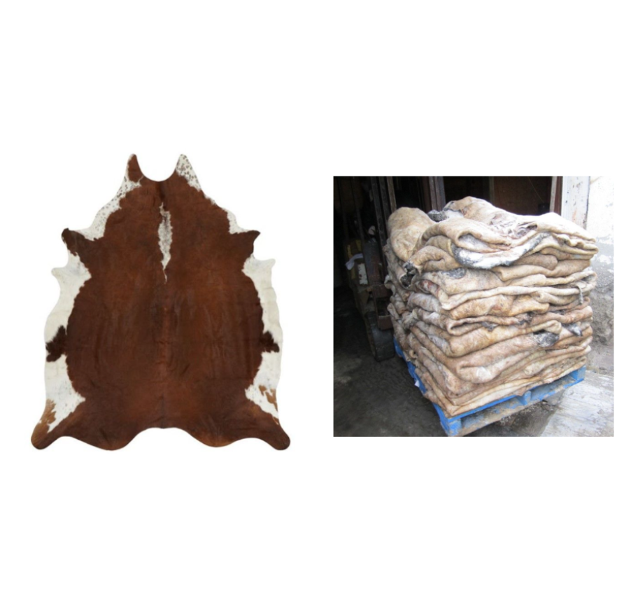 Hot Selling Raw Salted Cow Head Skin Plus Size Genuine Leather Wholesale High Quality Wet / Dry Salted Cow Hides Wet/Dry Salted