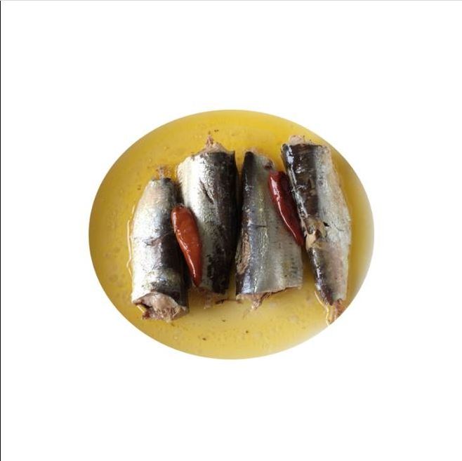 Whole round import export frozen fresh sardine fish/Fresh Frozen Red Tilapia Fish/FROZEN ROHU FISH AND SEA BASS FOR SELL