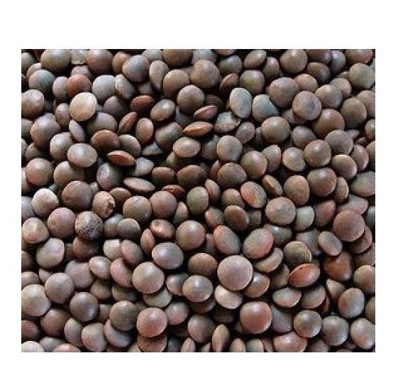 Highest Quality Best Price Direct Supply Black Lentils, Certified Organic, Non-GMO BULK Lentils Bulk Fresh Stock Available