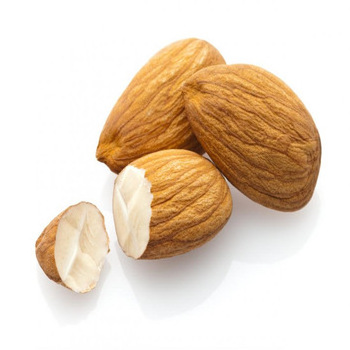 Wholesale Almond Nuts, Almond Kernel, Sweet Almond available now low price