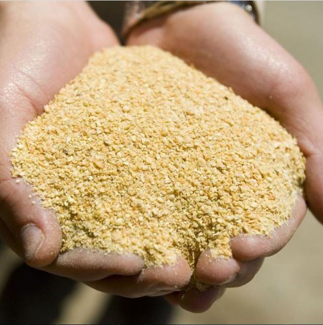 Cheap  Buy 48% Protein Soybean Meal From Europe/Argentina And Brazil/ Best Sales Soybean FOR SELL