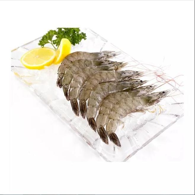 THE BEST PRICE FOR FROZEN BLACK TIGER SHRIMP/ WHITE SHRIMP WITH HIGH QUALITY & THE BEST PRICE - WHOLESALE GERMANY  SEAFOOD