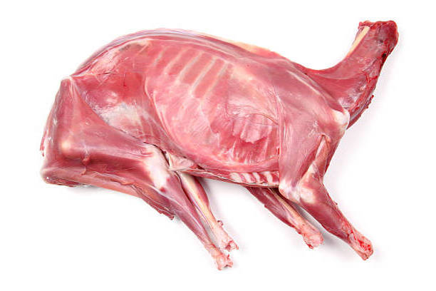 HIGH QUALITY HALAL FRESH CHILLED GOAT MUTTON MEAT/ LAMB MEAT CARCASS