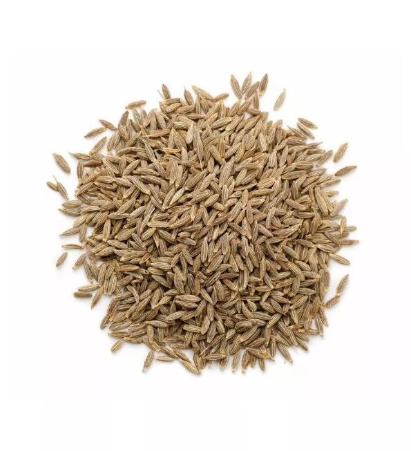 Premium Fennel Seeds/single spice premium quality fennel seed from India for sell