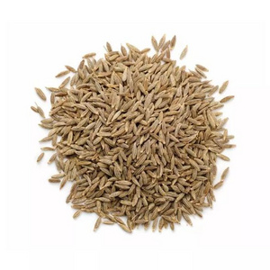 Premium Fennel Seeds/single spice premium quality fennel seed from India for sell