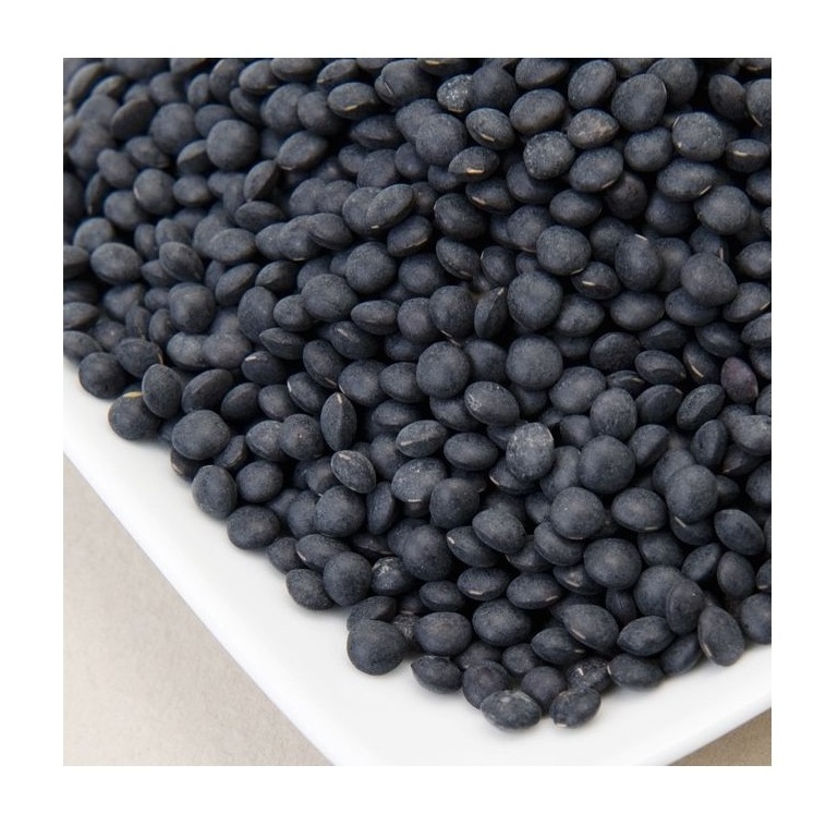 Highest Quality Best Price Direct Supply Black Lentils, Certified Organic, Non-GMO BULK Lentils Bulk Fresh Stock Available