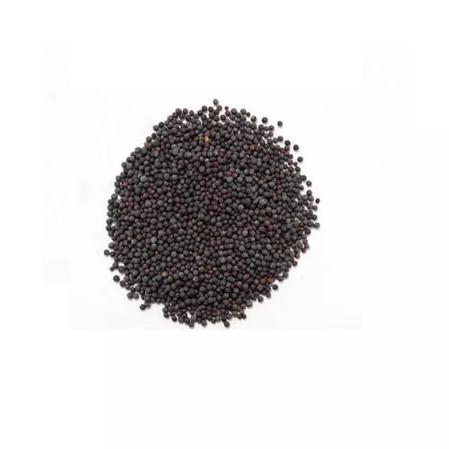 100% Natural Grain South Indian Food Made Mustard Seeds Quality Assured Mustard Seeds Supplier  from Asia and Europe